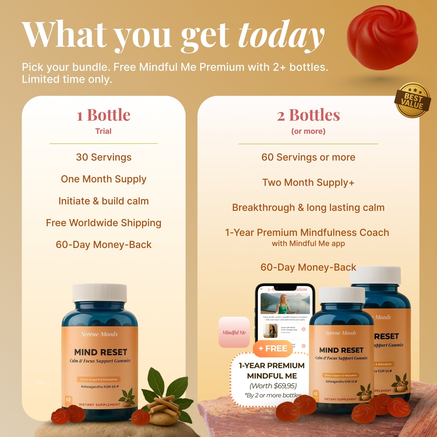 Mind Reset Gummies